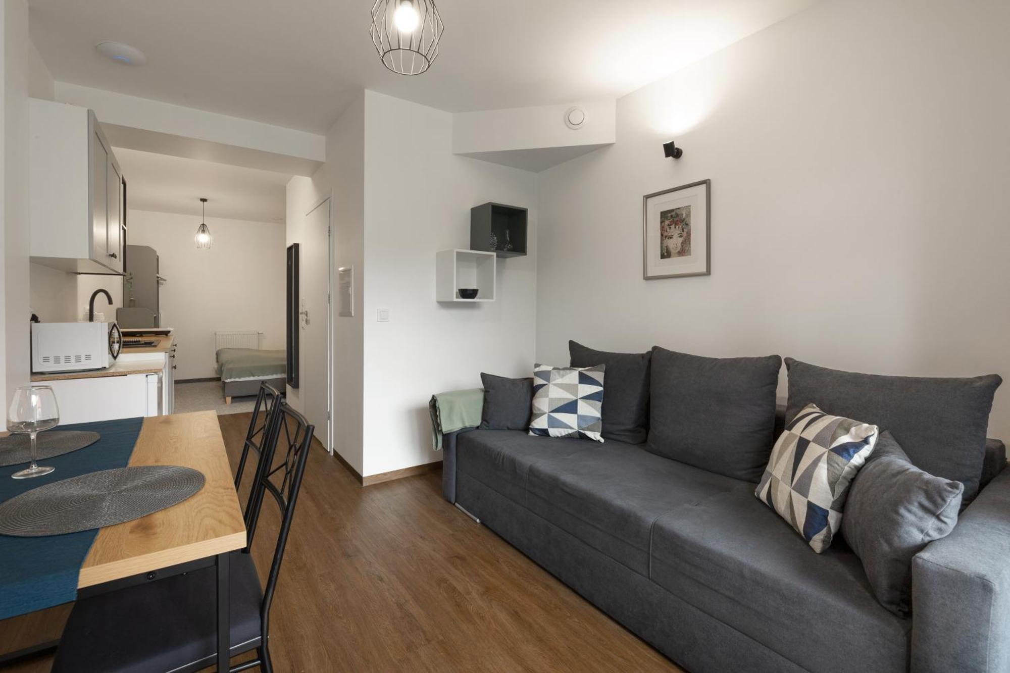 Apartamenty Wczasowa - Komfort Z Narciarnia Kudowa-Zdrój Cameră foto
